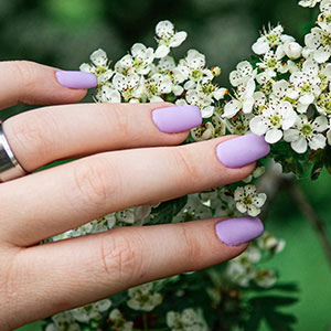 Spring Nails Salon gallery